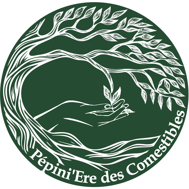 Pepini'Ere des comestibles